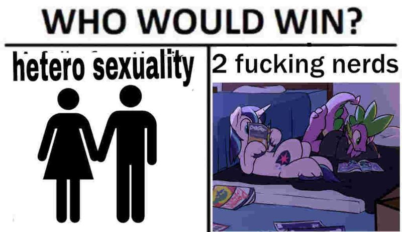 A meme with two columns titled “WHO WOULD WIN?”. In the left column is “hetero sexuality” featuring two washroom symbols of opposite genders holding hands. In the right column is “2 fucking nerds” featuring Shining Armor and Spike reading comic books from the pornographic comic “Comic Relief” by Braeburned, yes you’re welcome for the fucking source you horny little freaks.